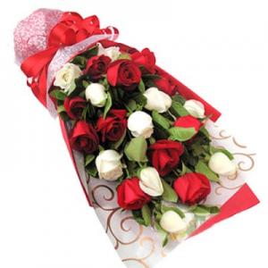 【美丽绽放】鲜花